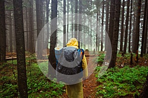 The back of a male tourist in a raincoat with a backpack on his back goes on a hike in the mountains through the wet rainforest