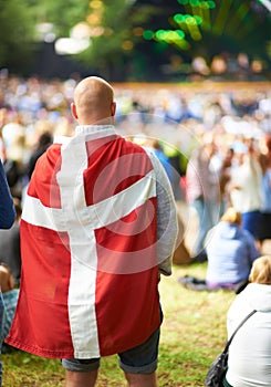 Back, music festival and a man in the flag of Denmark for celebration at a party or event in summer. Concert, audience