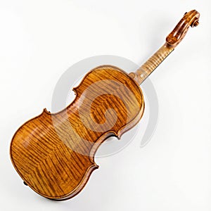 Violin Back Neck And Scroll