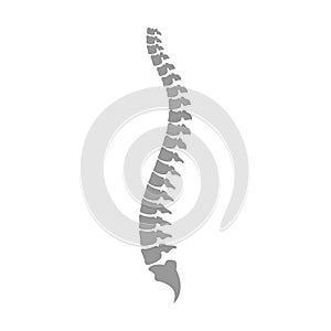 Back pain vector icon - Vector