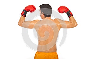 Back of powerful boxer man