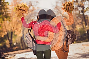 Back rear spine view photo of two friends forever girls enjoy city walk center autumn park hold collect maple leaves