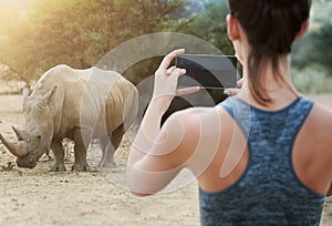 Back, rhino and woman with smartphone, nature and picture with memory, digital app and social media. Rear view, person