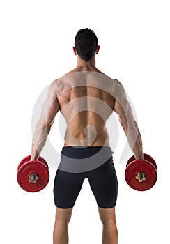 Back of shirtless muscular young man holding dumbbells