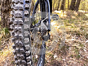 Back shot of mountain bike, rear wheel. Mountain bike tire, MTB Bicycle components