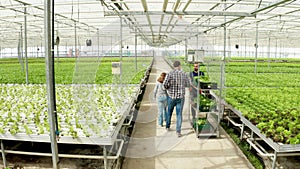 Back shot of rancher team discussing vegetable production