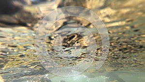 Back side of flowing water surface in river pond close-up.