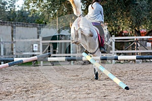 Back side of Girl riding a white horse jumping a guided obstacle during equestrian school training