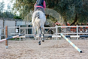 Back side of Girl riding a white horse jumping a guided obstacle during equestrian school training