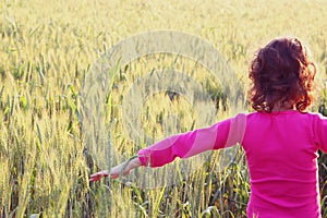 Back side of happy kid looking at the sunset in wheat field , explore and adventure concept
