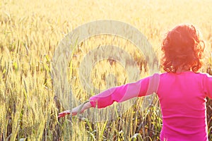 Back side of happy kid looking at the sunset in wheat field , explore and adventure concept