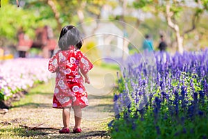 Back side of little girl in traditional Japan red dress  take a walk in a flower garden in the bright tropical winter weather.