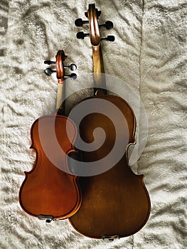 Back side of two violins,different size,put on soft cotton cloth