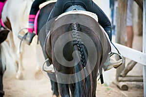 Back side view of a group of riders