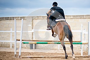 Back side view of a group of riders