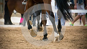 Back side view of a group of riders