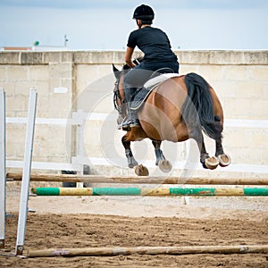 Back side view of a group of riders