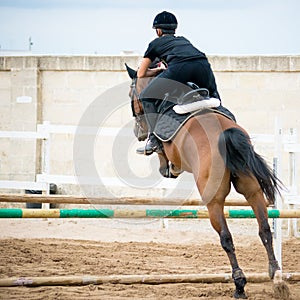 Back side view of a group of riders