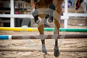 Back side view of a group of riders