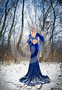 Back side view of lady in long blue dress posing in winter scenery, royal look. Fashionable blonde woman with forest in background