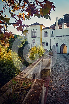 Back Sintra Palace