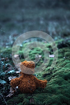 Back of a small brown teddy bear sitting on moss outdoors