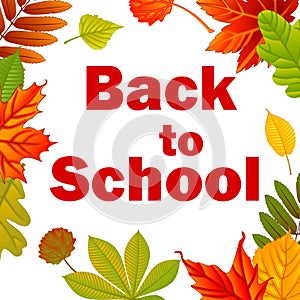 Back to school. Autumn background