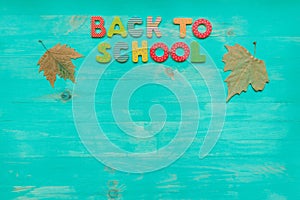 Back to school concept. Top view of colorful text and autumn dry leaves banner over wooden background with copy space
