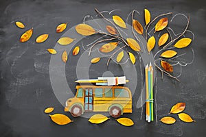 Back to school concept. Top view image of school bus and pencils next to tree sketch with autumn dry leaves over classroom blackbo