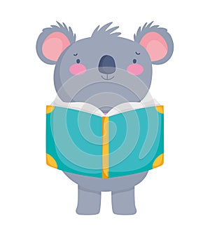 Back to school education cute koala reading book knowledge