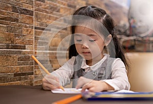 Back to school. Happy smiling pupil drawing at the desk. Cute little preschooler child drawing at home. Kid girl drawing with penc