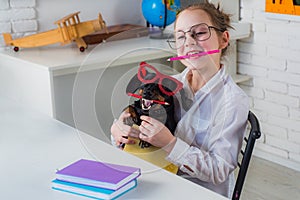 Back to school idea concept with funny dog holding pencil. Smart and clever dog with pencil and glasses.