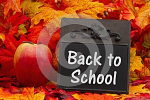 Back to School message on chalkboard with fall leaves