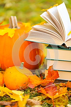 back to school.Study and education concept.Autumn books.Halloween books. Autumn reading.Stack of books,pumpkins on the