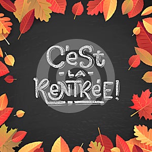 Back to School text drawing by white chalk on Green Chalkboard. Autumn leaves education vector illustration banner. Translation: