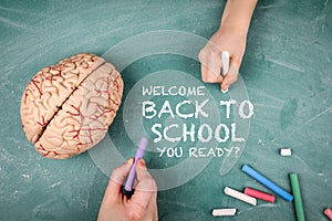 BACK TO SCHOOL. Woman's and child's hand with chalk on a green chalk board background