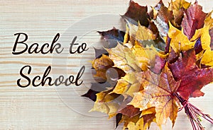 Back to school writing with maple leaf autumn bouquet