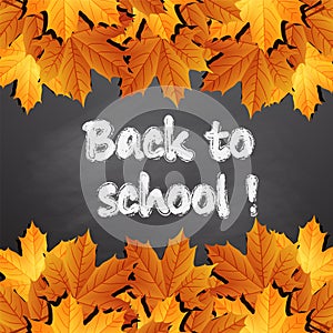 Back to school, written on blackboard with autumn leaves,