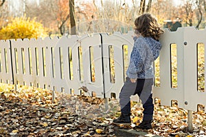 Back of toddler boy by fence