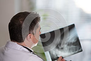 Doctor reading X-ray images