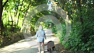 Back view of 50s woman and her Irish Setter dog track down a forest trail offering a scenic view of the trees changing