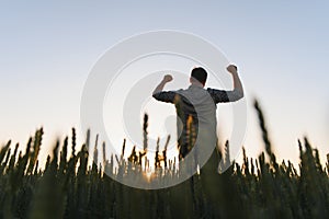 Back view of adult man farmer stand alone and look at sunset or sunrise in sky. Guy stand on wheat field. Ripe harvest