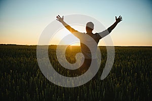 Back view of adult man farmer stand alone and look at sunset or sunrise in sky. Guy stand on wheat field. Ripe harvest