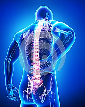 Back view of anatomy of male back pain in blue