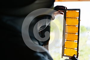 Back view of apiarist holding and checking honey bee hive frame with cells filled with honey