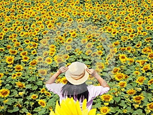 Back view of Asian woman with vintage hat in the blooming sunflower field