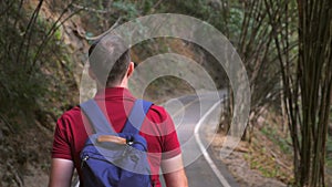 Back view of backpacker man walking on road among green trees and bamboo thickets. Following shot of male traveler comes