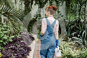 Back view of beautiful caucasian woman in jeans overalls walking with water can in nursery. Female gardener watering