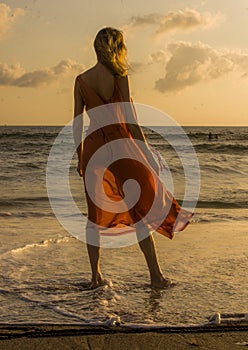 Back view of blond and glamorous blond woman posing at the beach wearing stylish and sensual dress looking at the sea in summer ho