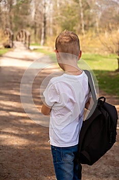 Back view of a boy with backpack walking on a path